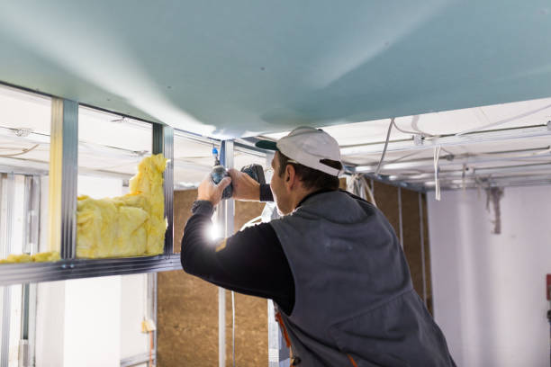 Professional Insulation Contractor in Lake Holiday, IL