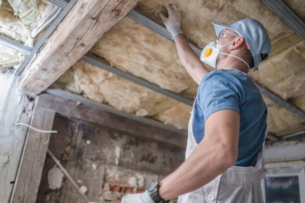 Best Cellulose Insulation  in Lake Holiday, IL