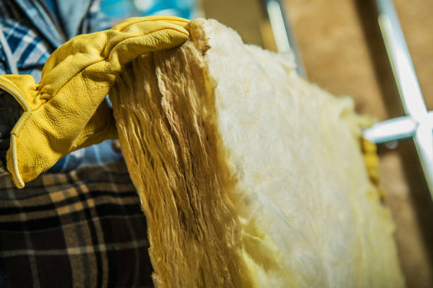 Best Insulation Inspection Services  in Lake Holiday, IL