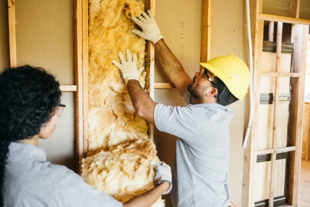  Lake Holiday, IL Insulation Contractor Pros